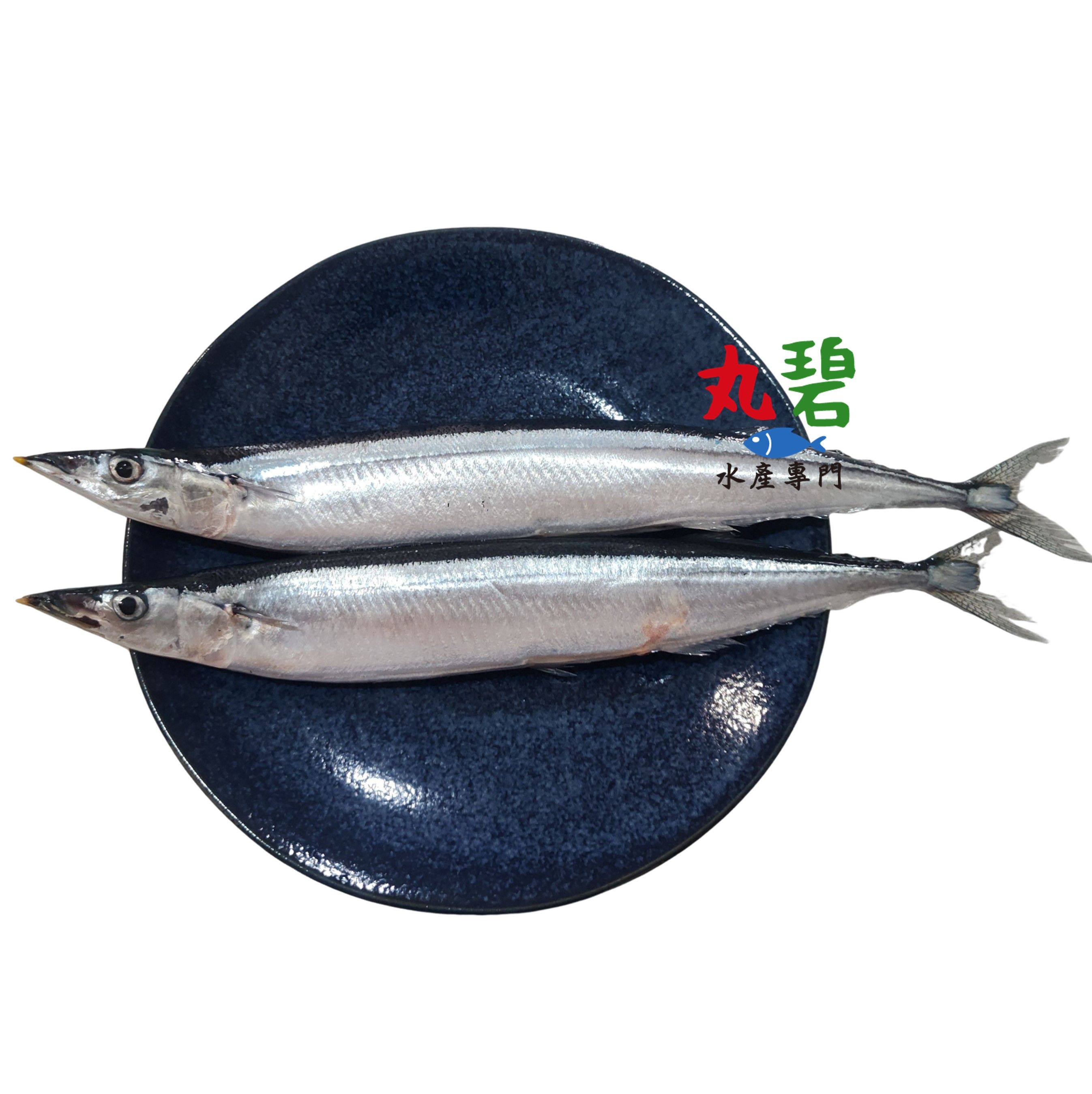 秋刀魚 特大規格 320g/2尾 台灣捕撈[丸碧水產專門]