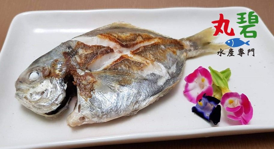 [丸碧水產專門] 肉鯽魚 肉魚 肉鯽仔 台灣 野生 海魚