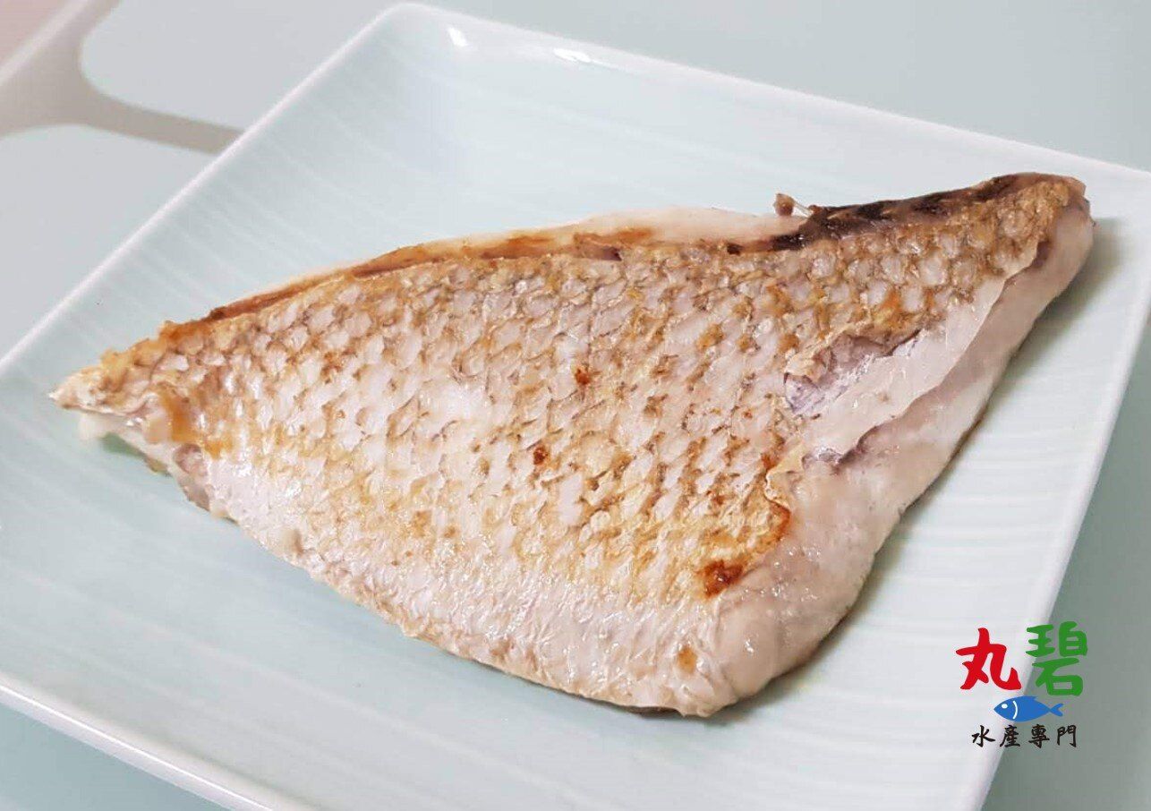 [丸碧水產] 長嘉納 加納 肚肉 大刺魚排 台灣 海魚 氣炸