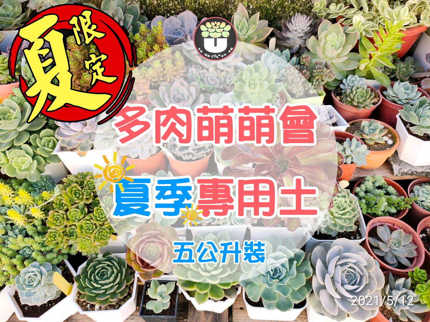 【夏季限定】夏季專用土／5公升／限下單１包／無法與其他配土同寄／多肉萌萌會＿郁雯