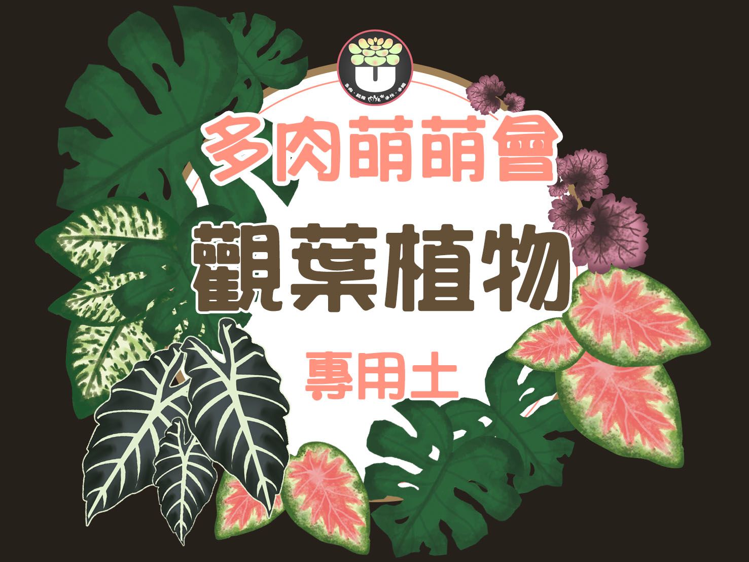 觀葉植物專用土／5公升／10公升／限下單１包／無法與其他配土同寄／多肉萌萌會＿郁雯