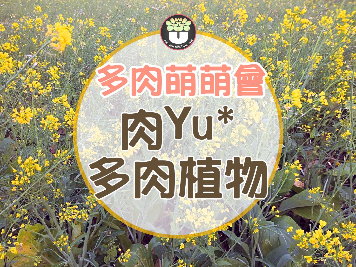 肉YU*多肉植物_多肉萌萌會