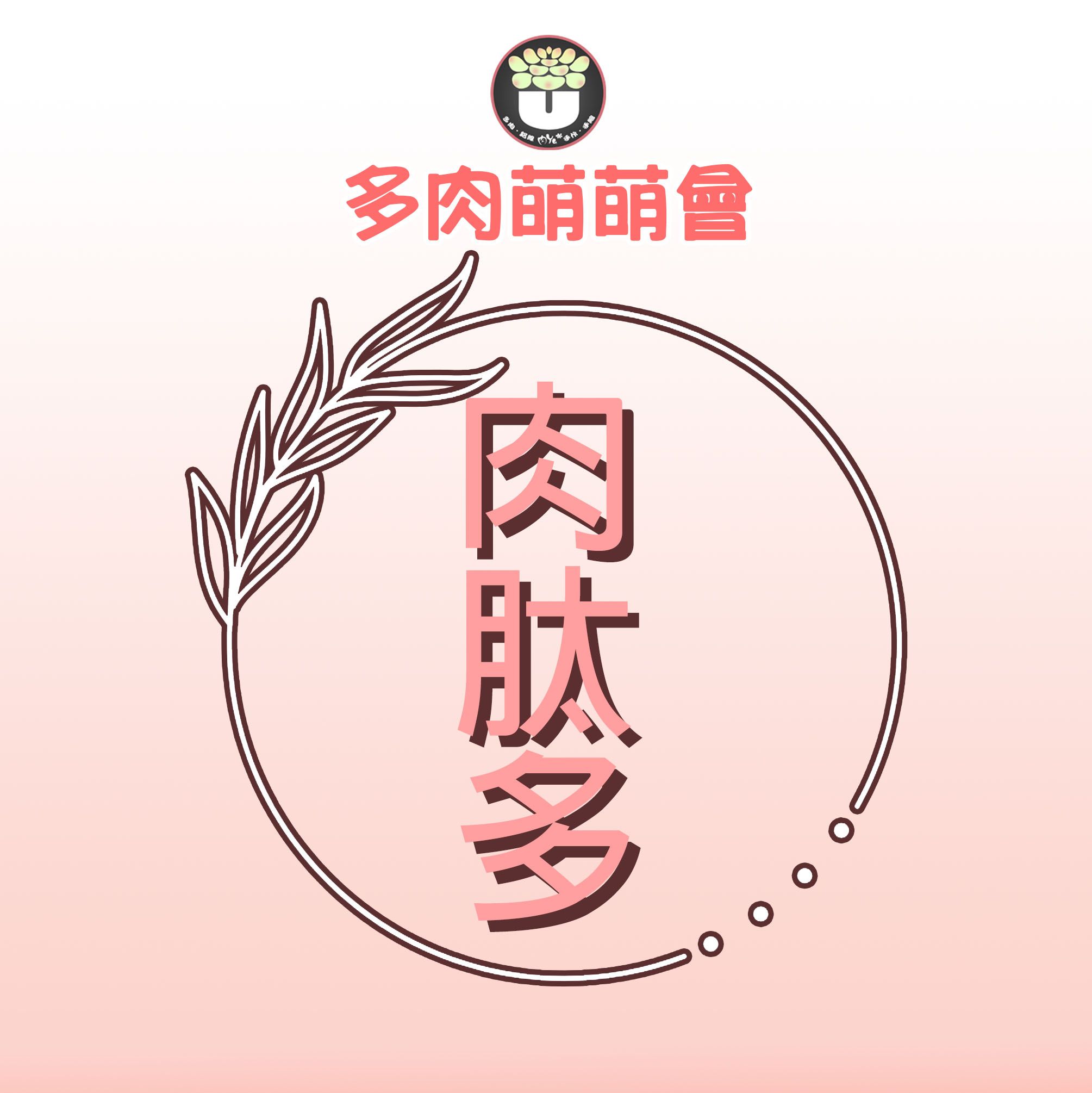 肉Yu＊多肉萌萌會＿【肉肽多】多肉/觀葉/蔬菜/任何植物適用