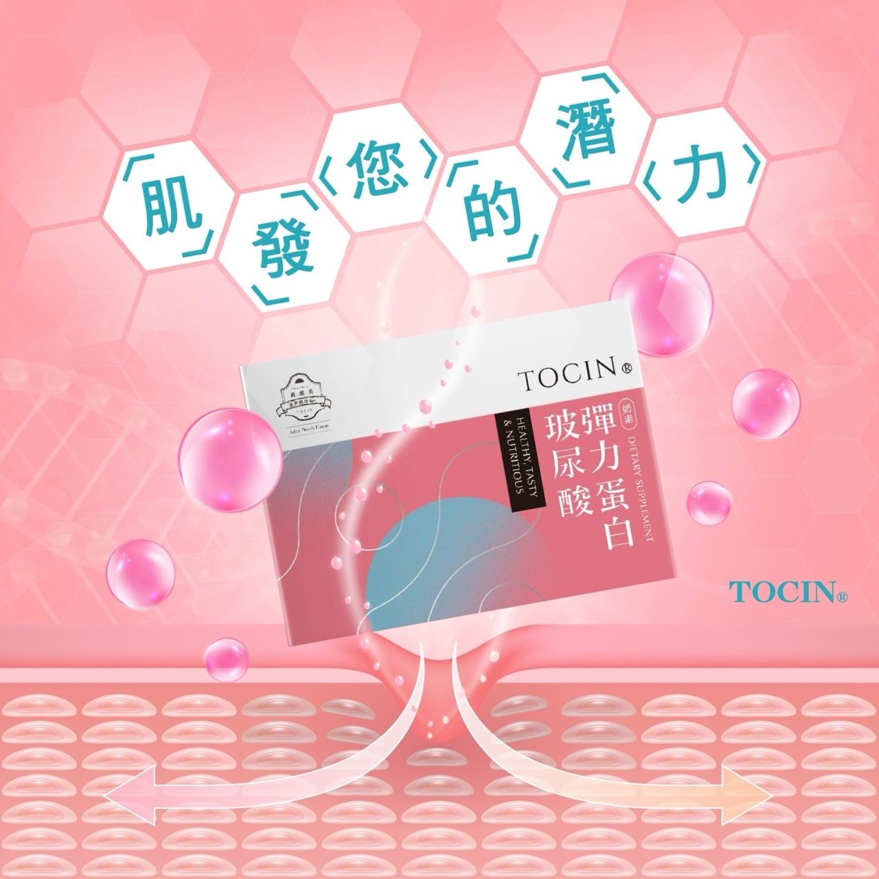 彈力蛋白玻尿酸