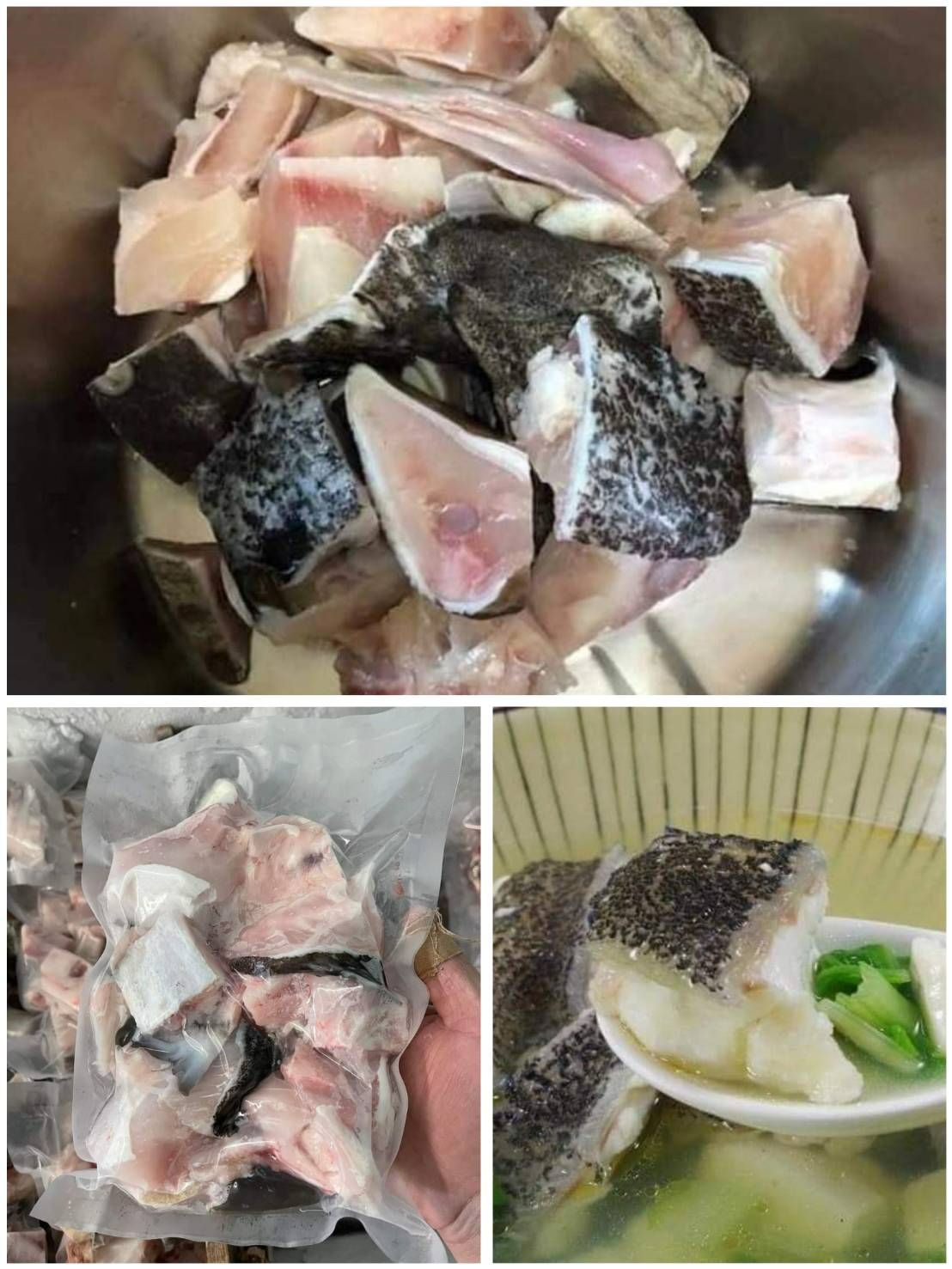 🌟現流現切🐟超大龍膽石斑魚頭切塊（1包1斤裝）