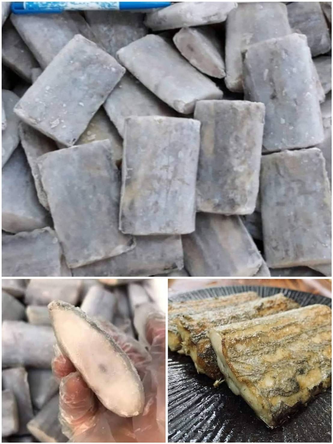 鮮凍白帶魚切塊（無肚洞）
