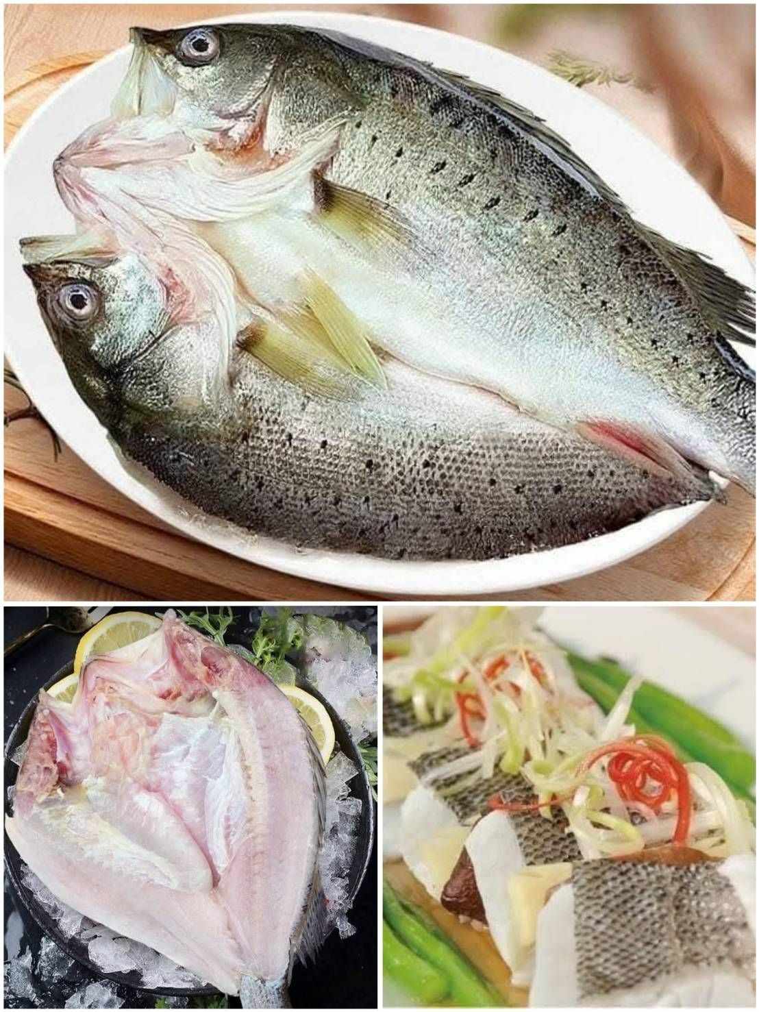 東石金目鱸魚《蝴蝶切》🐟大尾的500公克上