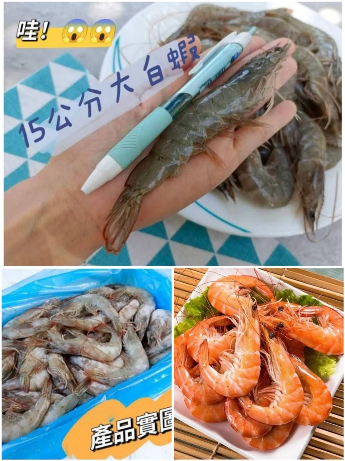 新鮮活凍大白蝦（超大盒850公克）