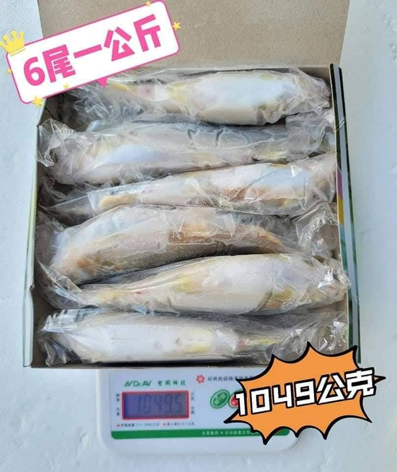 宜蘭爆卵【母香魚】