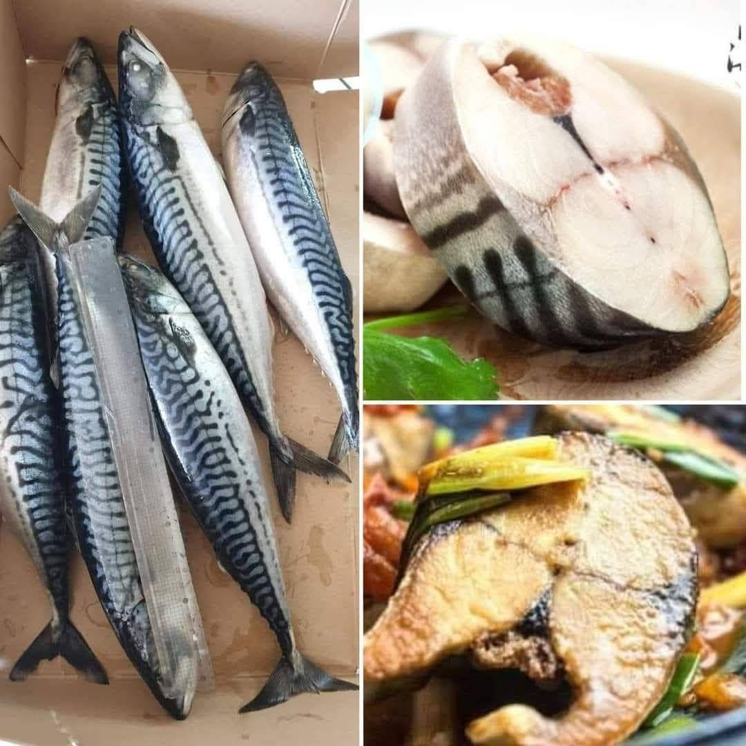 頂級挪威進口鯖魚（整尾無鹽）