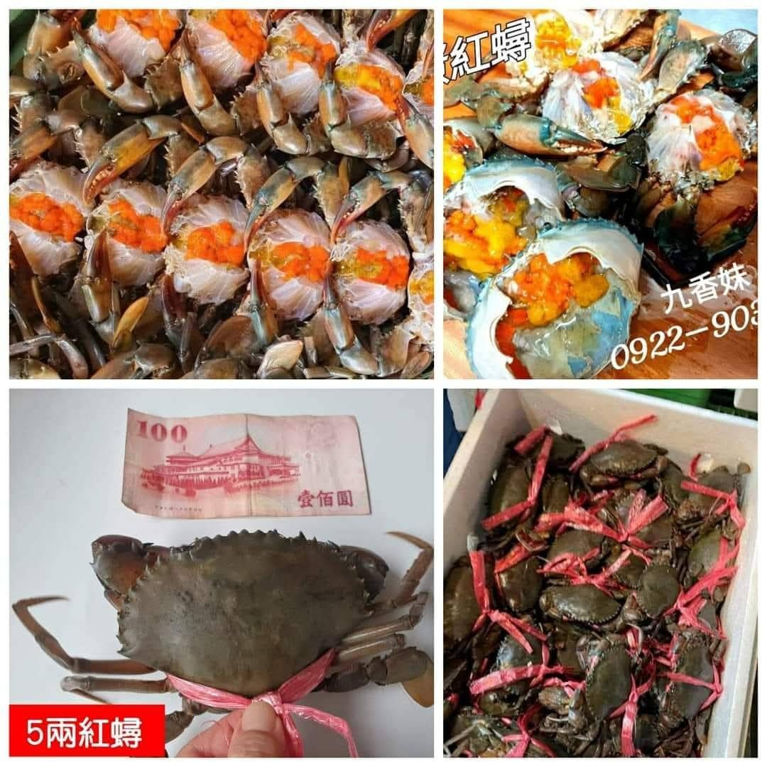 野生活跳跳爆蛋紅蟳 （5兩） 🦀殺好急凍再寄出