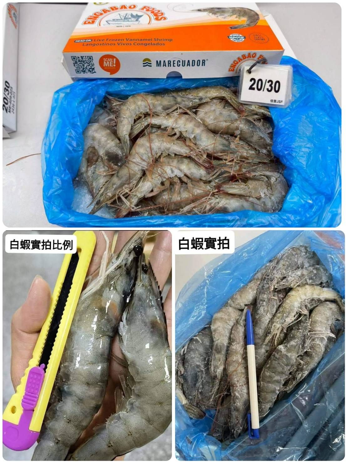 🦐#超級巨無霸大白蝦
