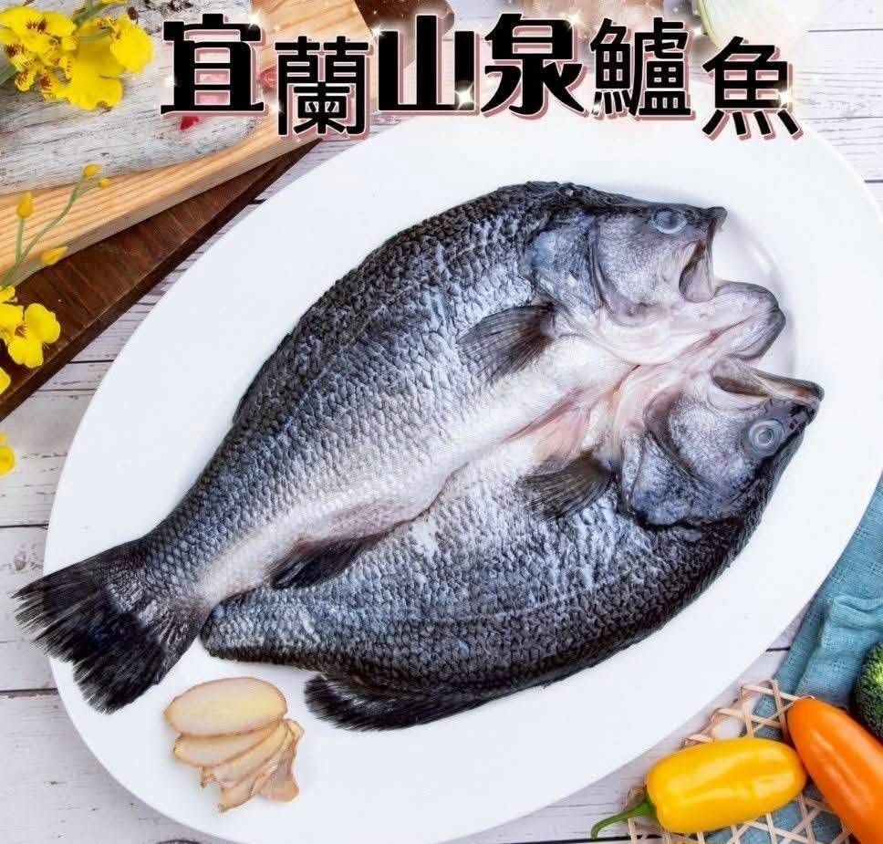 🐟宜蘭山泉鱸魚-蝴蝶切 【3/29寄出】
