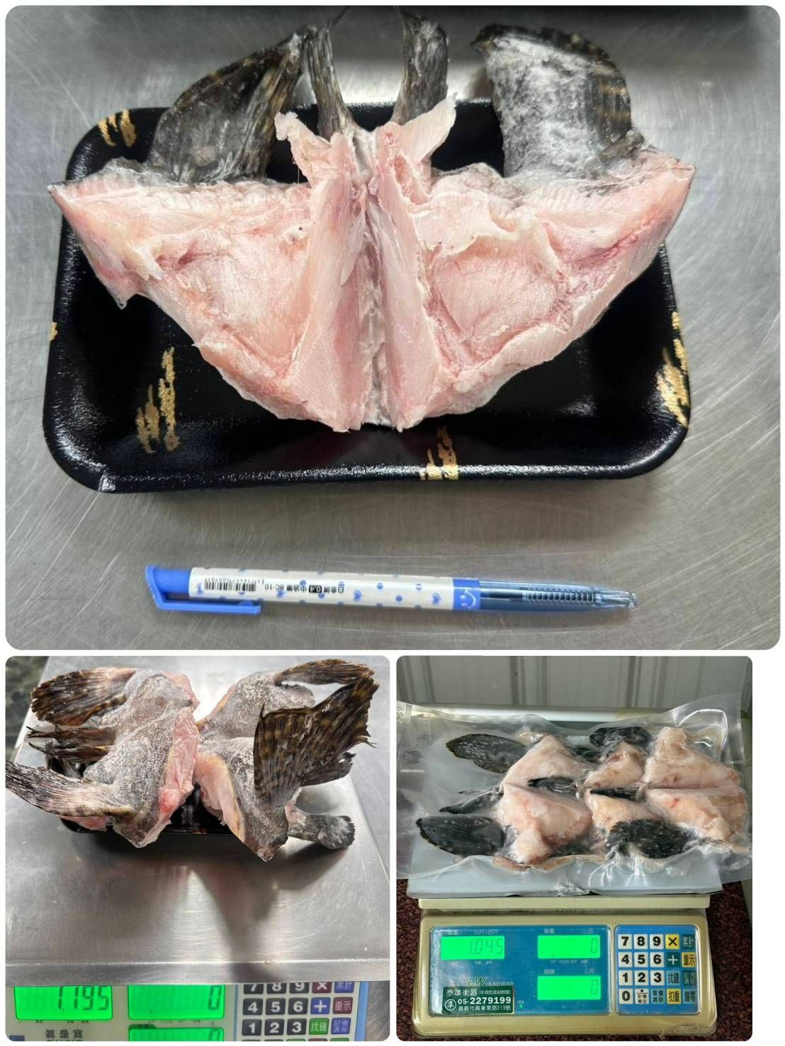 🌟超大龍虎石斑下巴（4/11寄出）