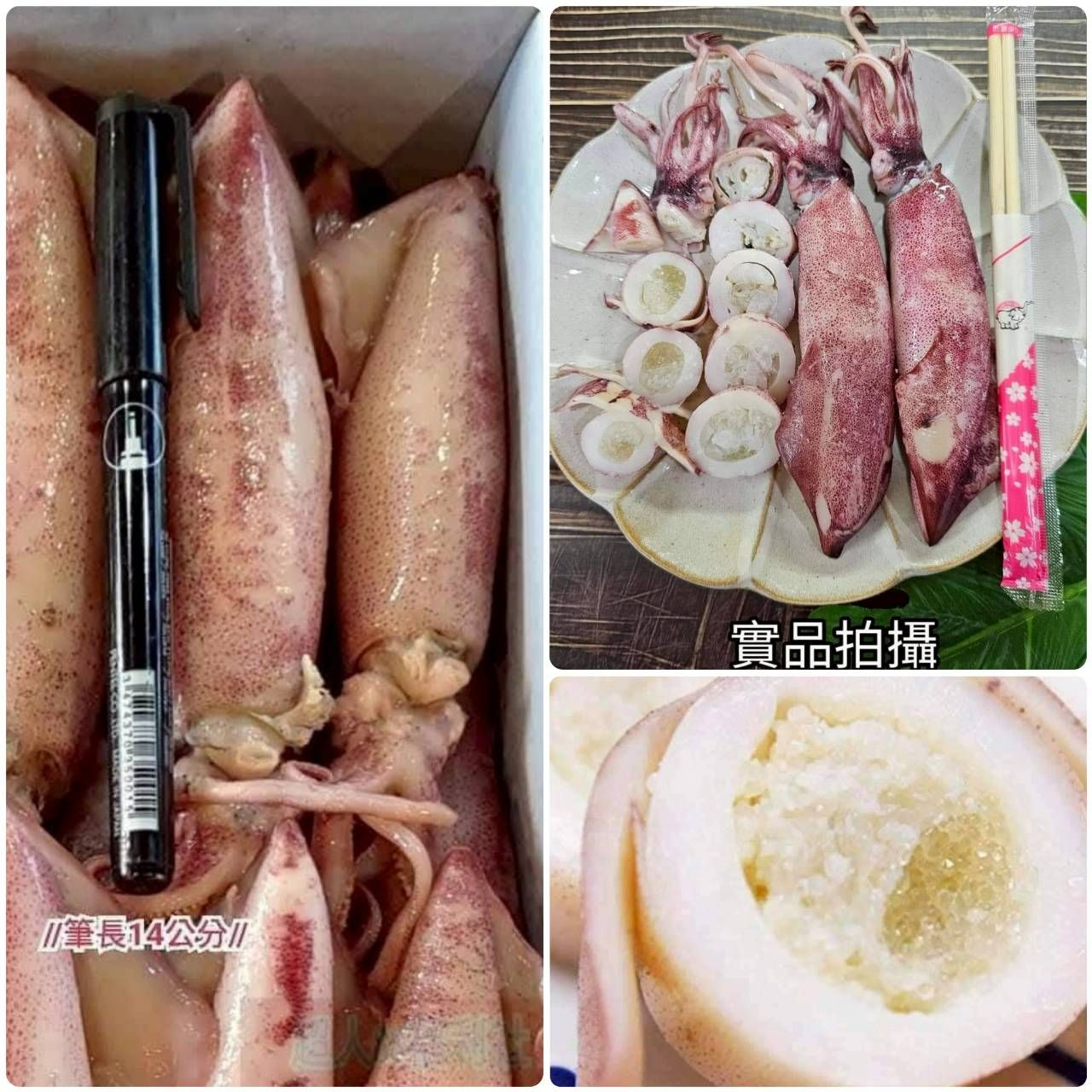 野生抱卵大母卷（熟🦑）