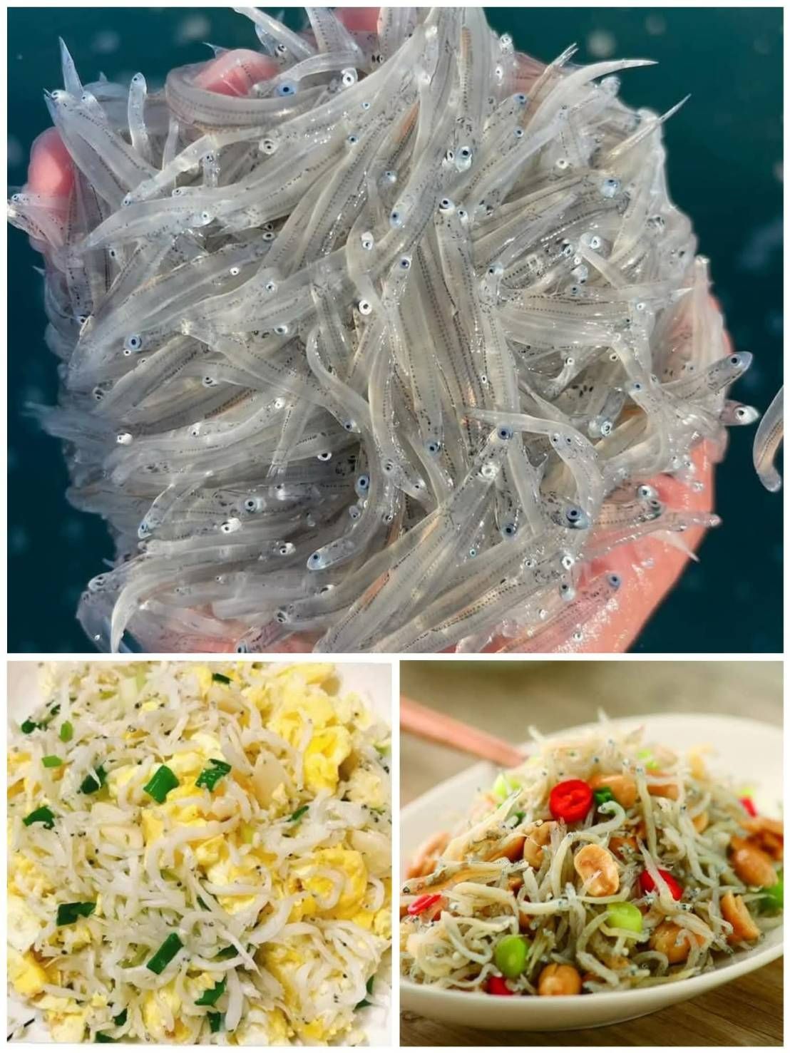 🛳南方澳吻仔魚🐟（生凍）