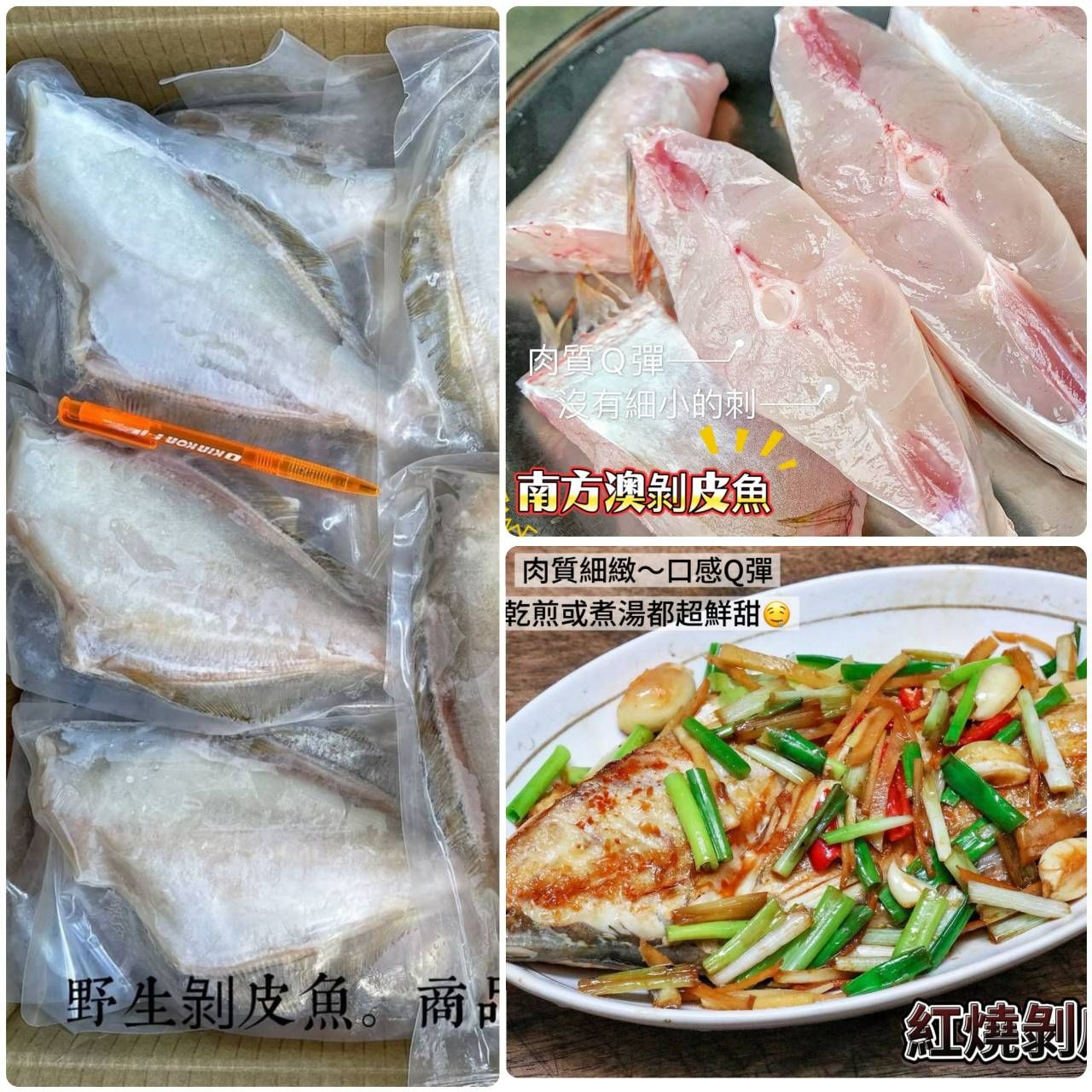 南方澳野生大剝皮魚🐟