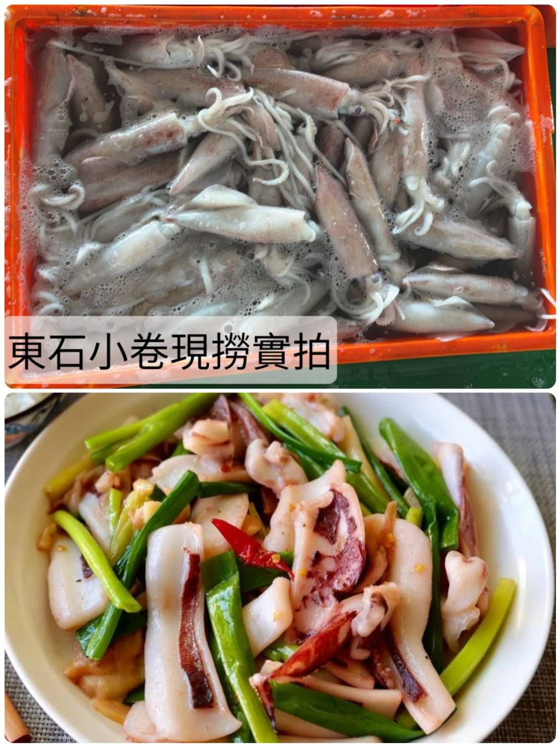東石現撈鮮凍中卷 🦑【7/26】