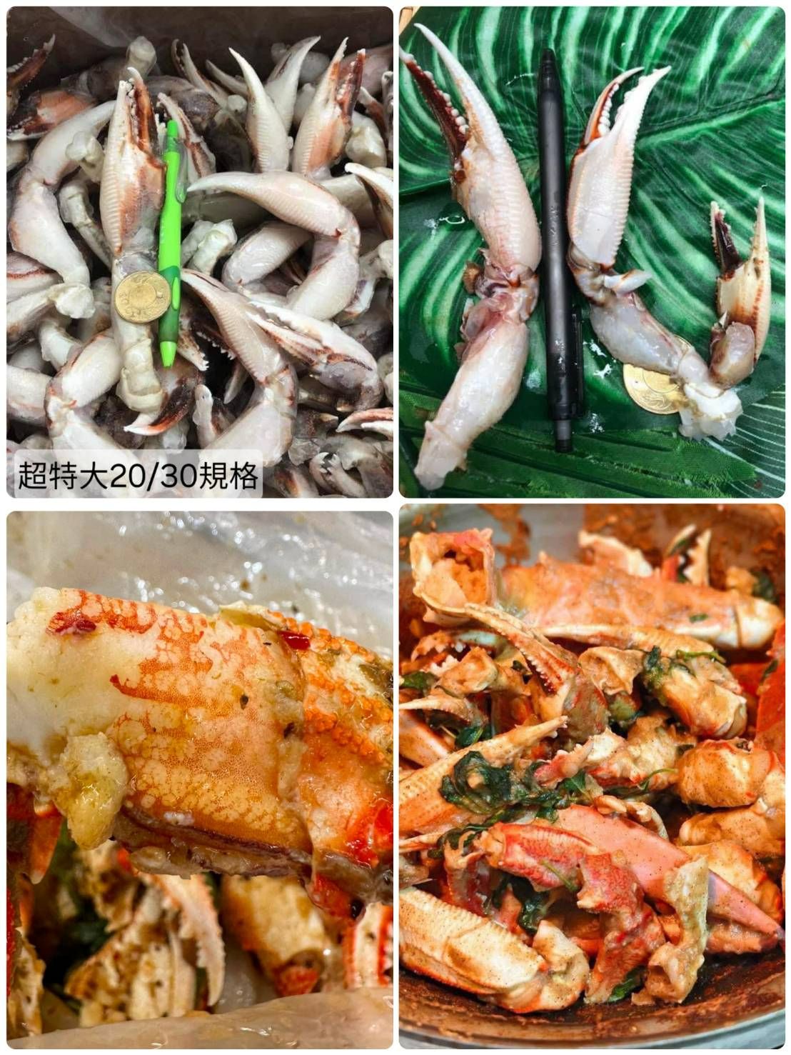 鮮凍沙蟹腳🦀【7/26寄出】