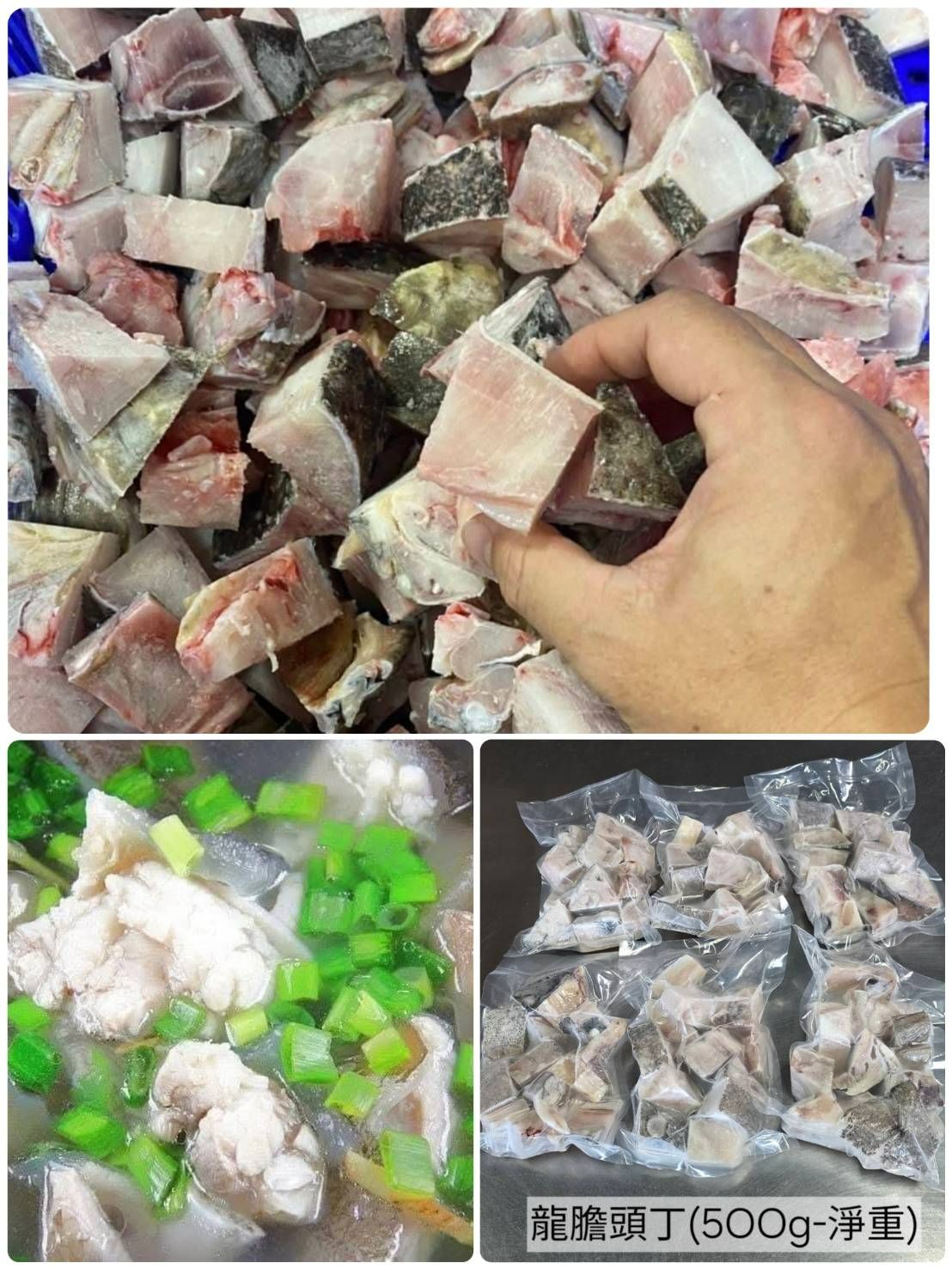 超大龍膽石斑魚頭切塊