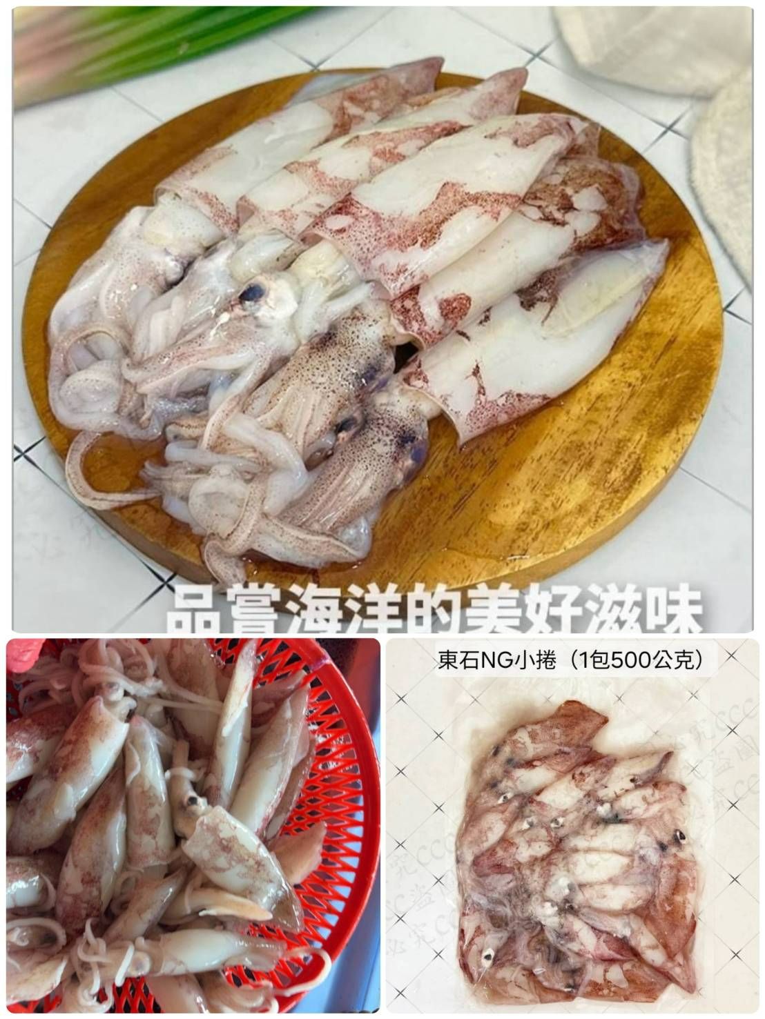 東石現撈NG破皮小卷🦑【8/9寄】