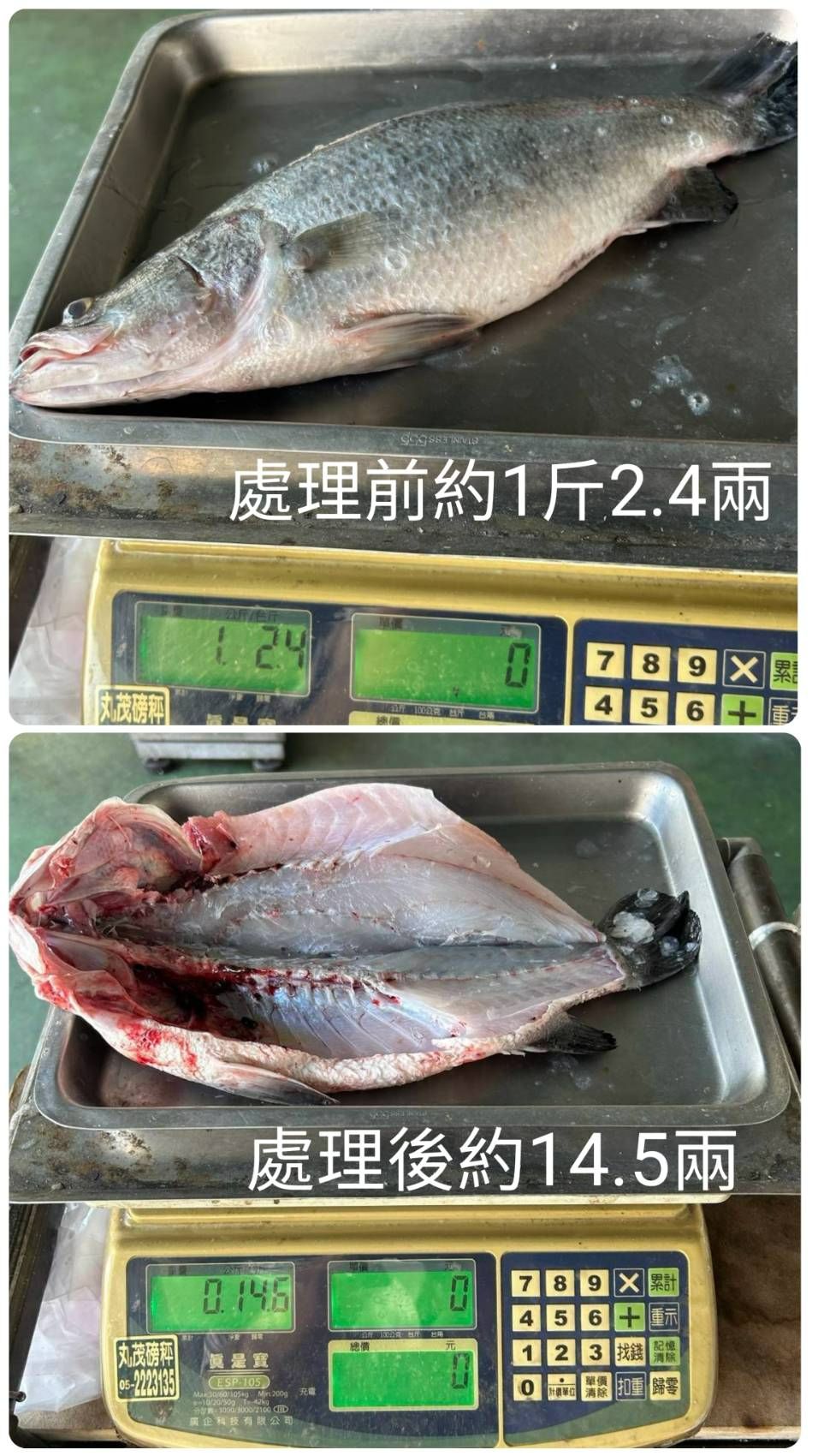 東石金目鱸魚《蝴蝶切》