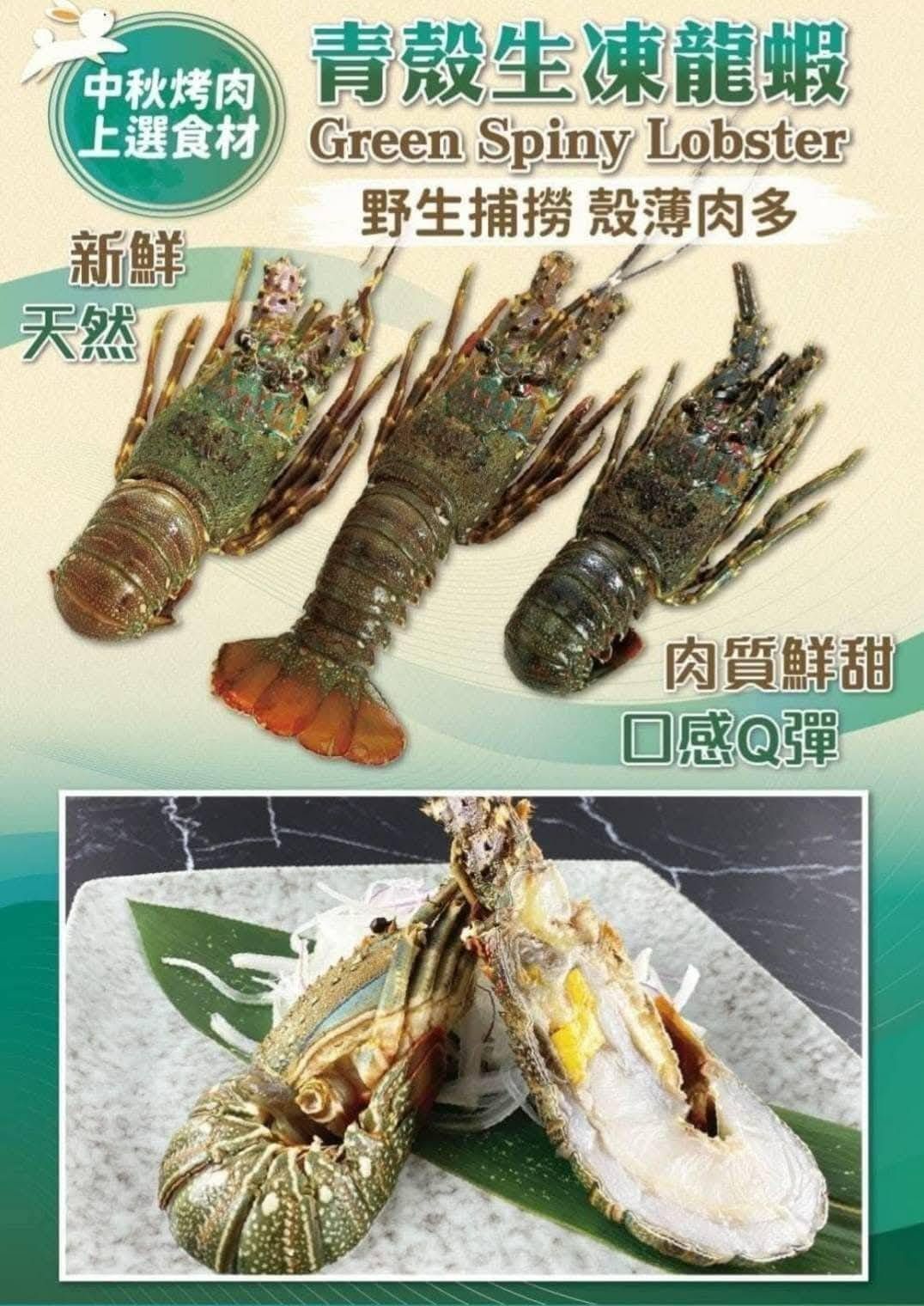 🔥中秋烤肉限定🔥活凍青殼龍蝦【9/20寄出】