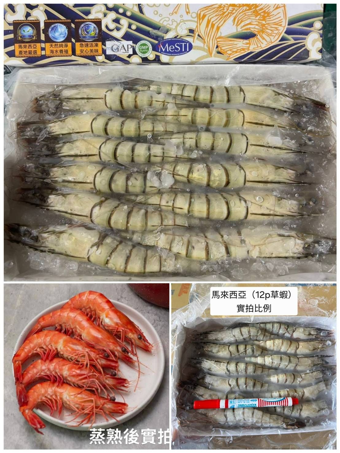 頂級野生海草蝦🦐