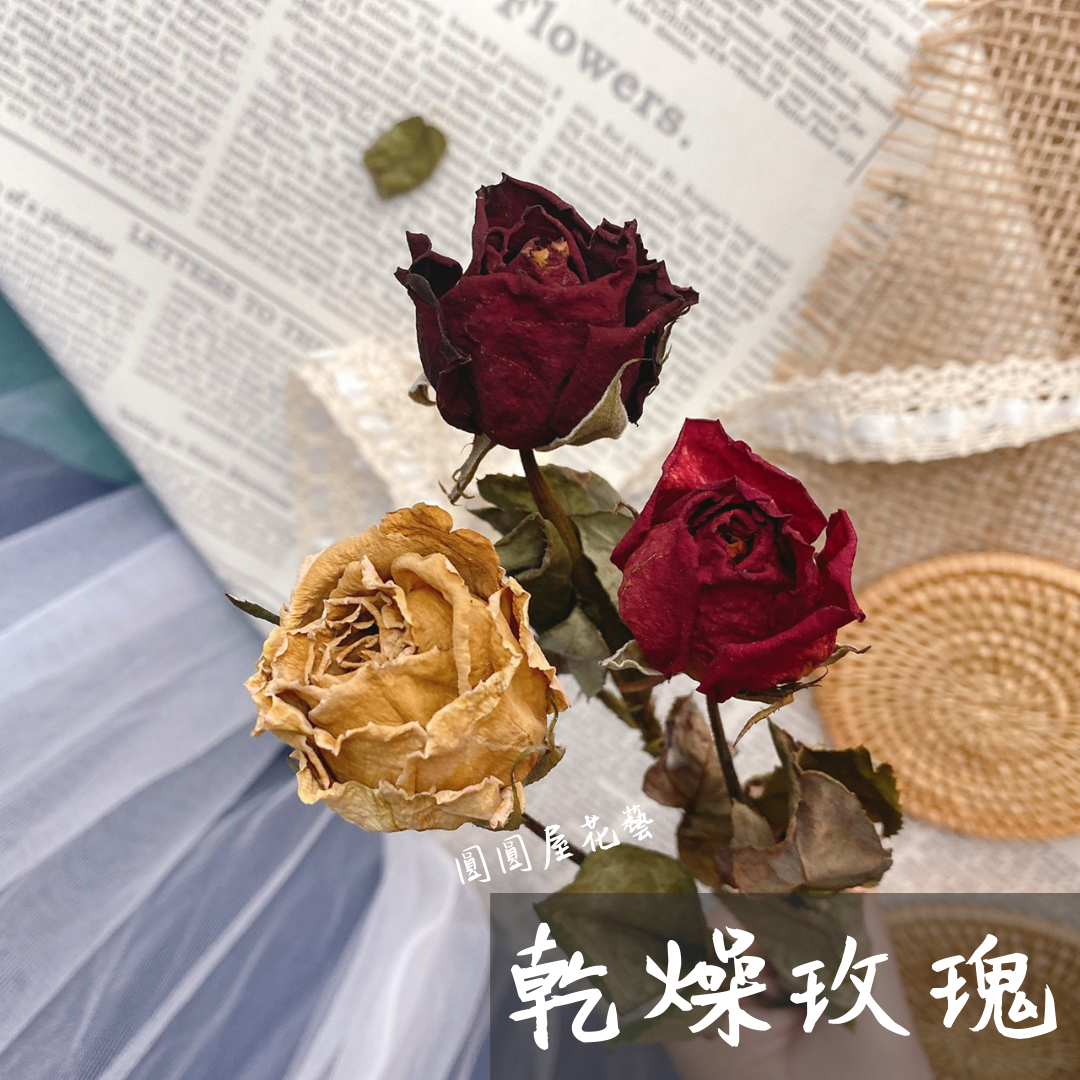 圓圓屋花藝【AA等級乾燥玫瑰／台灣現貨】乾燥花／ 花材／花束配花