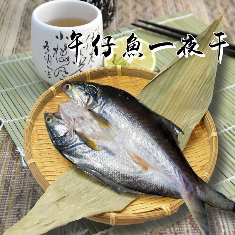 免運【大口市集】日式午仔魚竹筴魚一夜干 230-260g