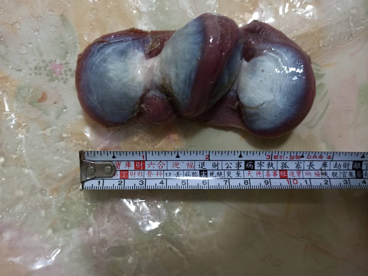 圖片 2