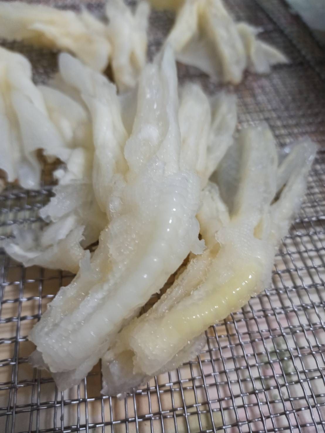 圖片 3