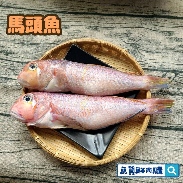 🐟馬頭魚 （三去後重量）