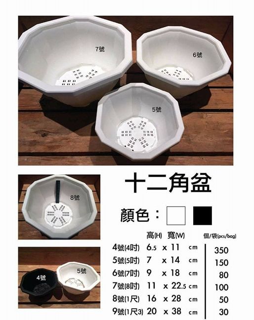 十二角盆
