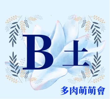 B配土