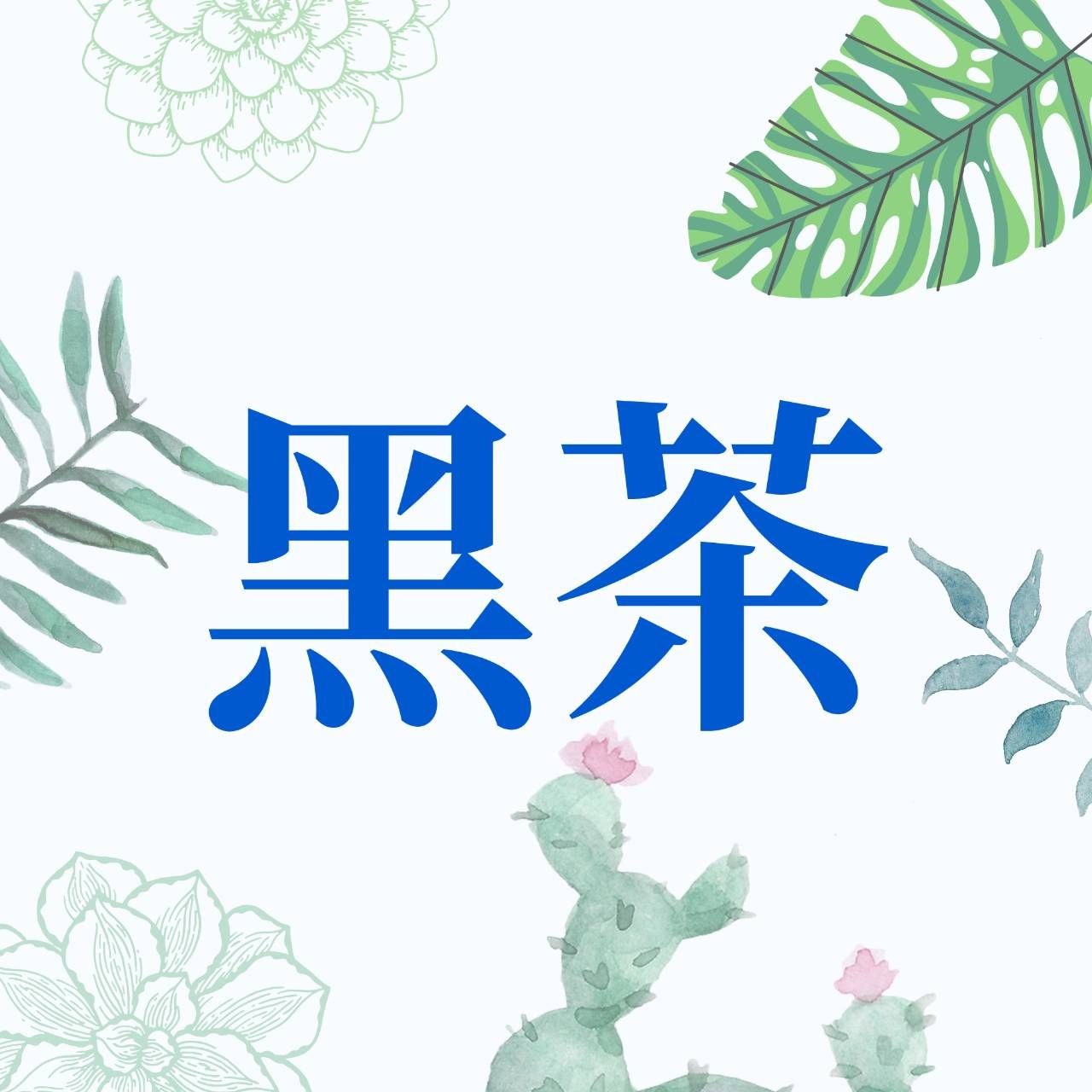 黑茶
