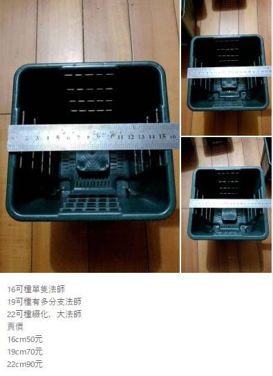 法師盆