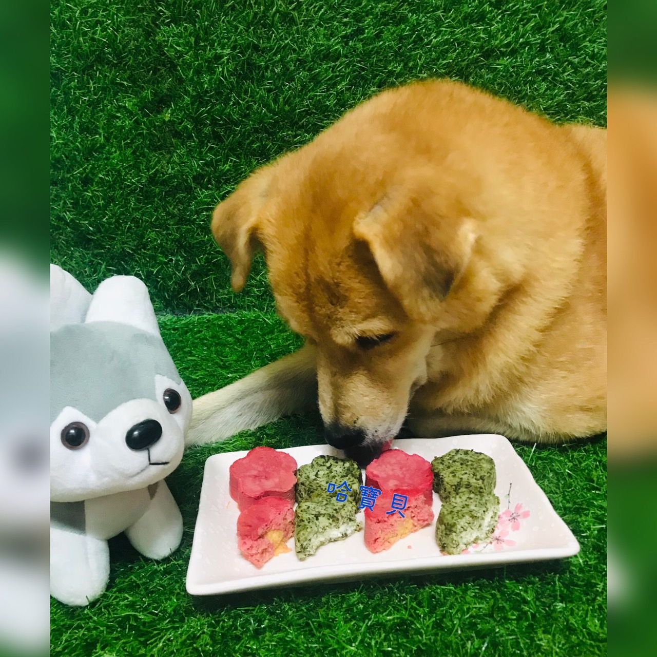 2022中秋月餅預購