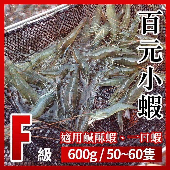 段泰國蝦精選 x 百元小蝦-F級