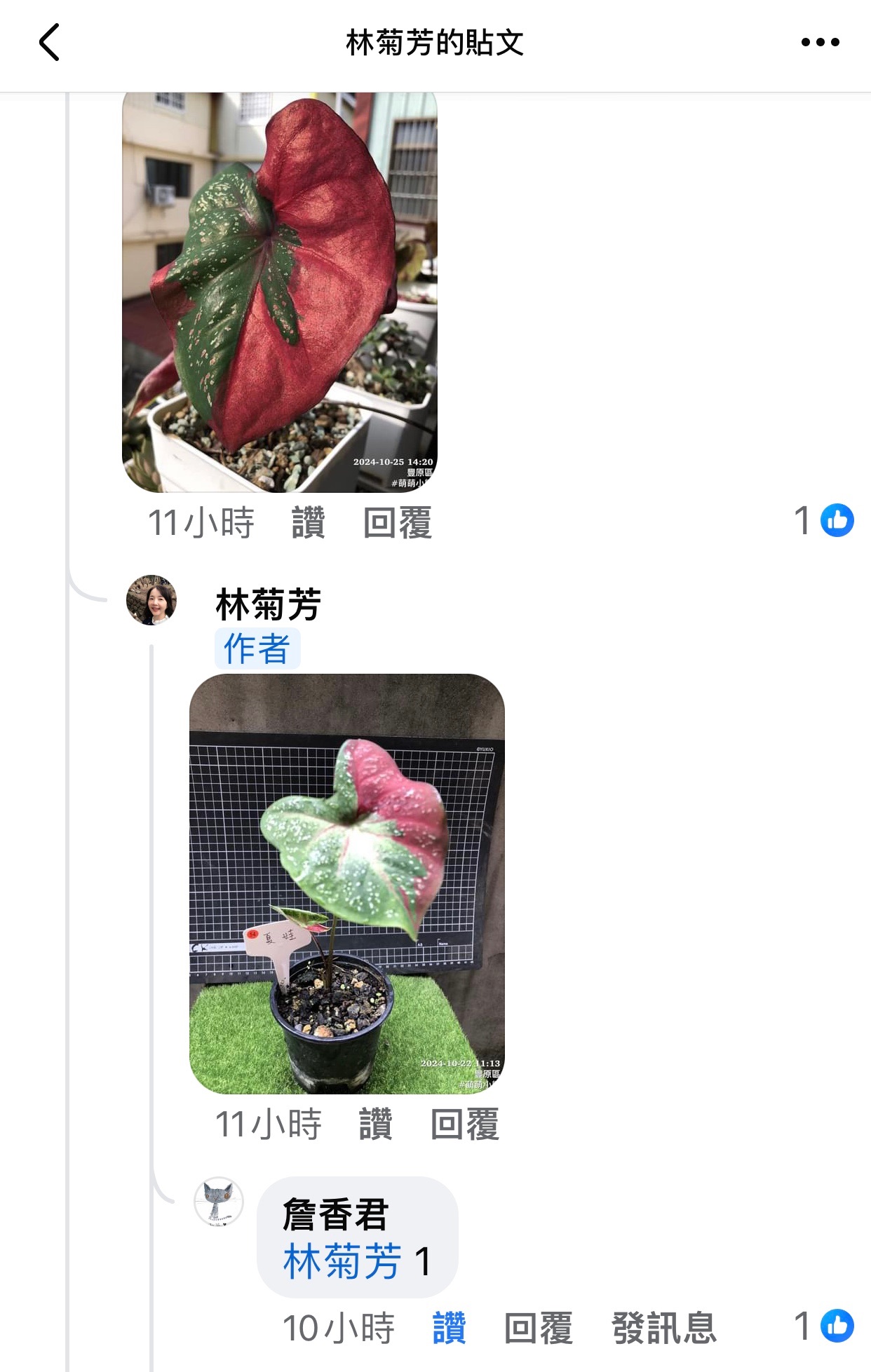 詹香君結帳專用
