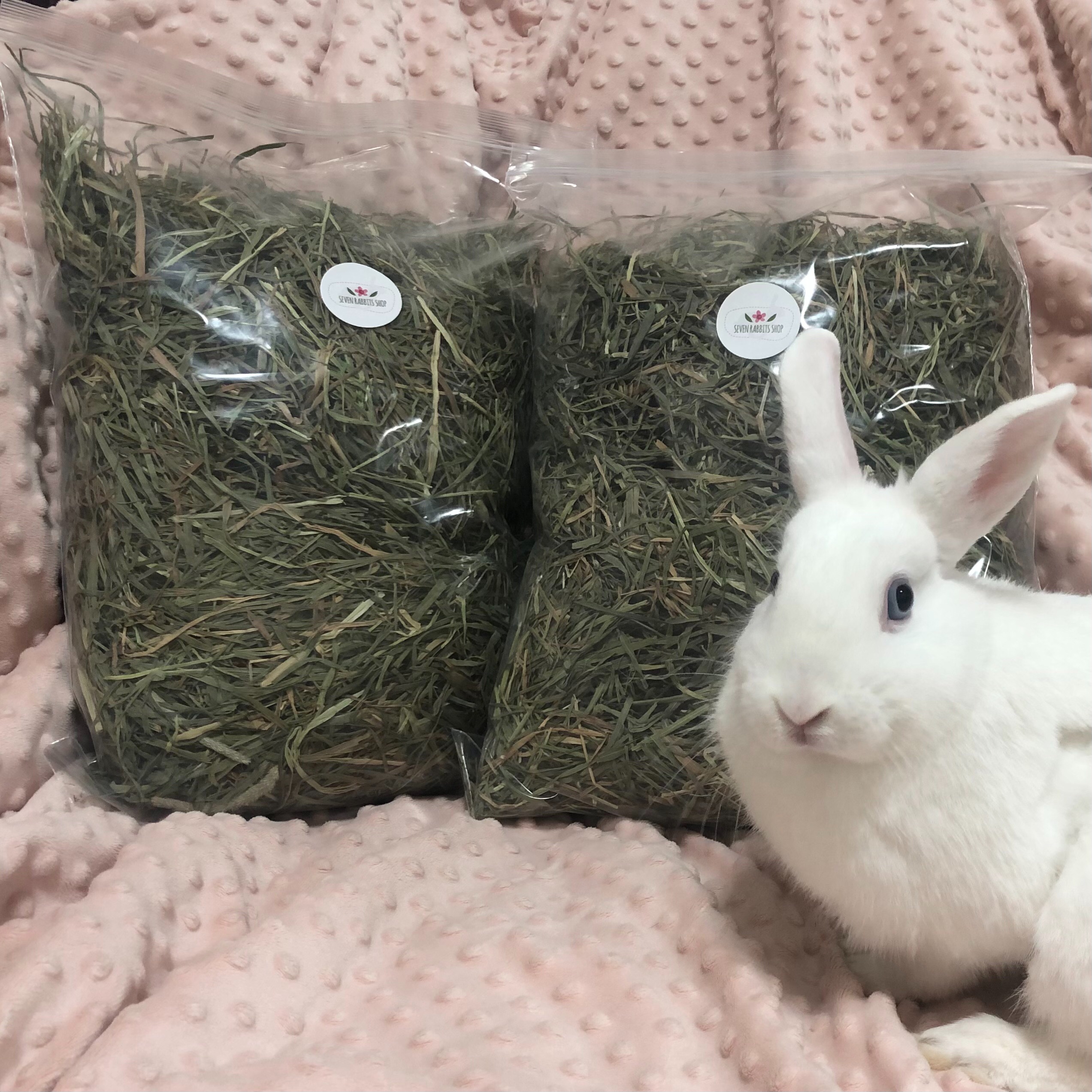 P家三割提摩西（過篩）500G