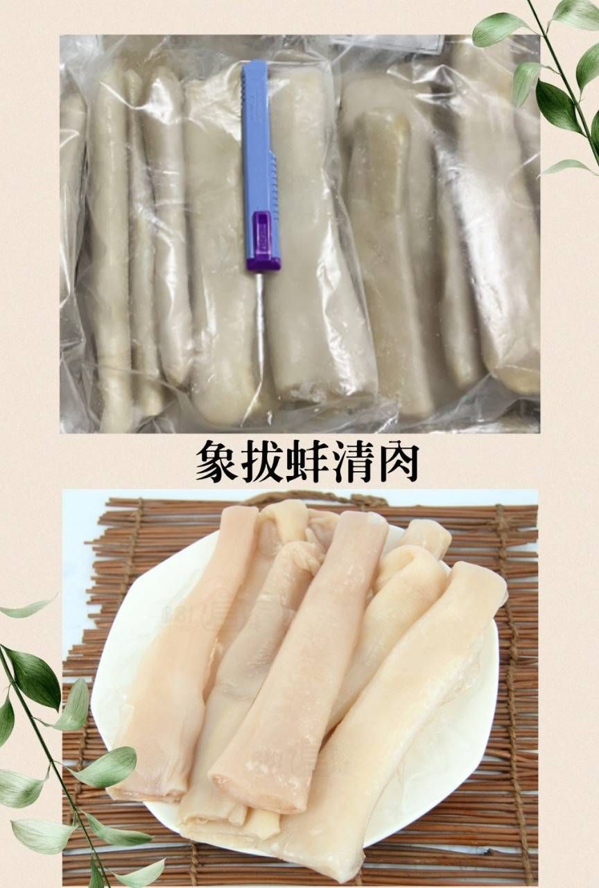 冷凍象拔蚌清肉/1公斤