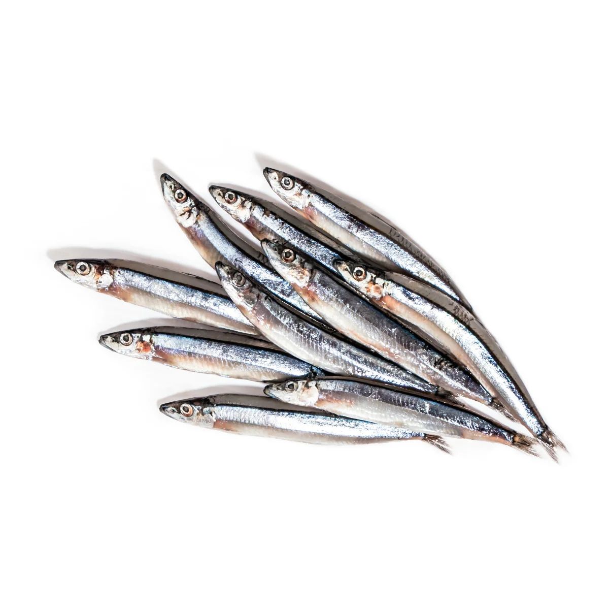 初肉 冷凍生食生肉 啃咬紓壓零食 鮮凍丁香魚70g