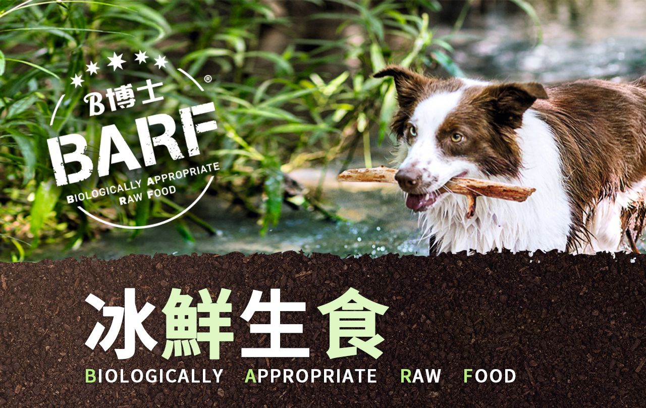 Dr. B B博士 貓用冰鮮生食 115g