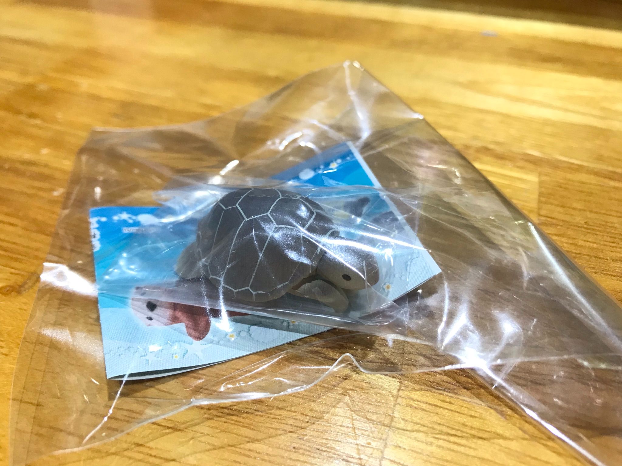 轉蛋 抱線器 烏龜