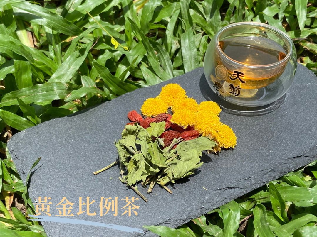 天菊農場黃金比例菊花茶 經濟包罐裝15入/小禮盒12入