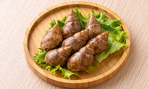 【燒肉道】精選 胡椒鳳螺
