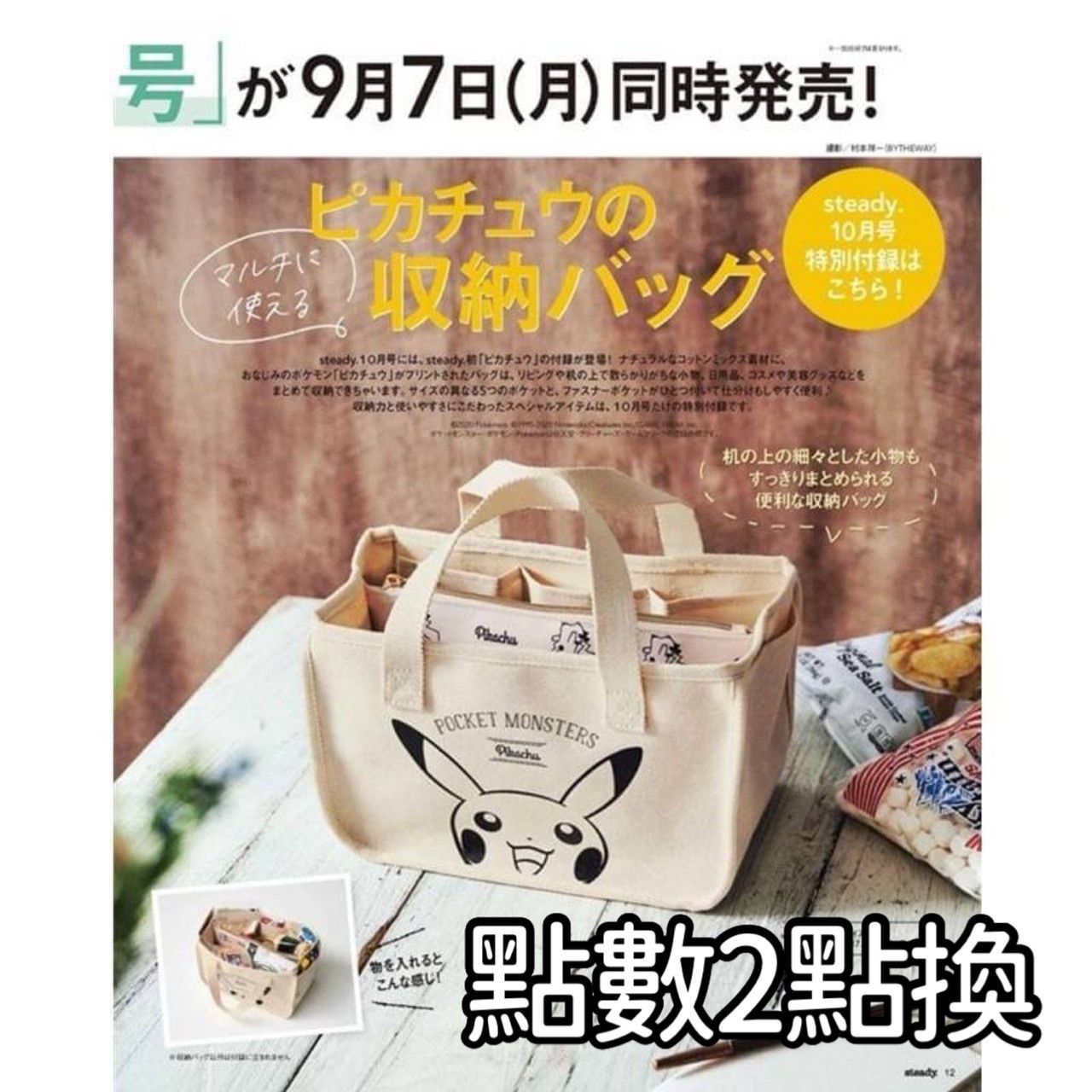 （全新現貨）台灣出貨 日本雜誌附錄 皮卡丘 帆布包 帆布手提包 外出包 媽媽包 包中包 帆布包 日雜附錄皮卡丘