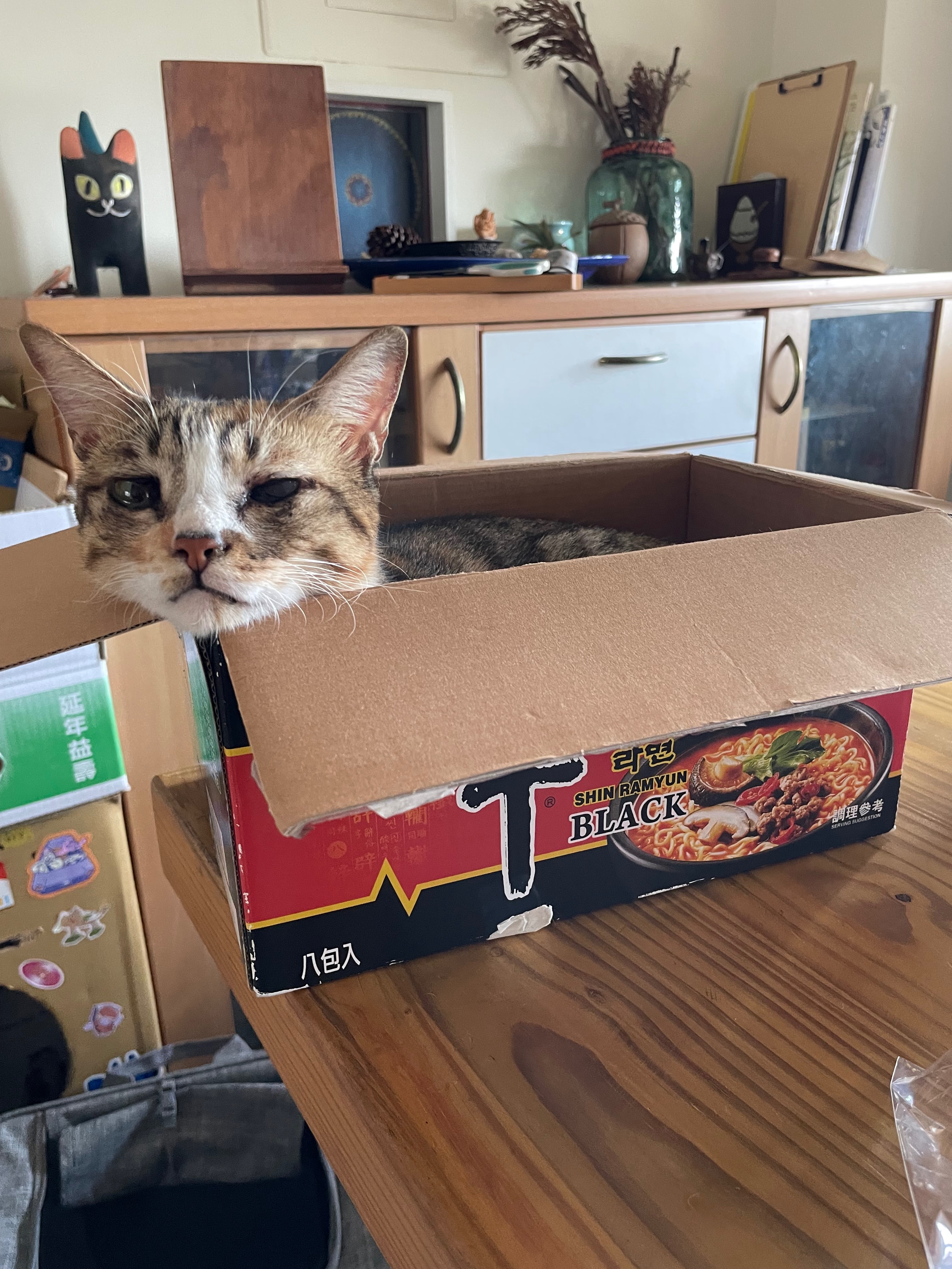 補運費商品