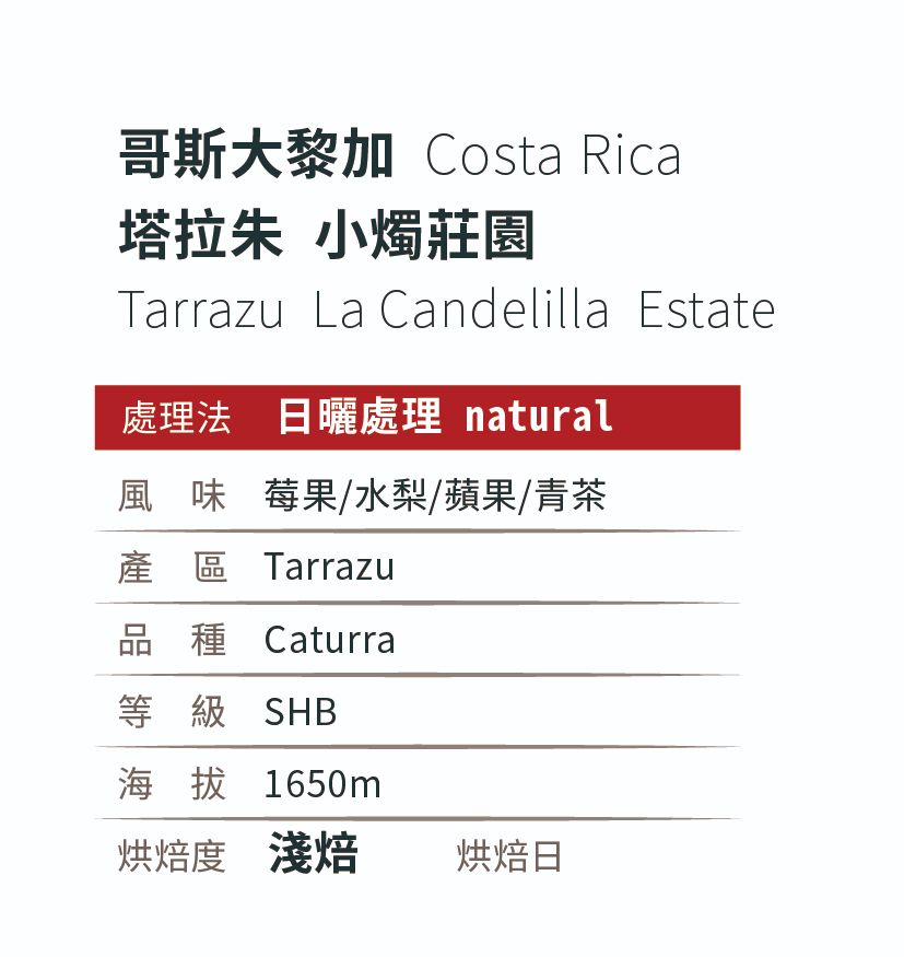 [淺 焙]＿哥斯大黎加 _塔拉珠 _小燭莊園_日曬處理